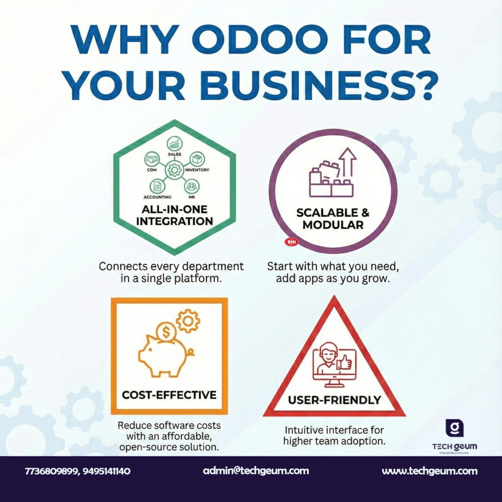 Odoo ERP Service